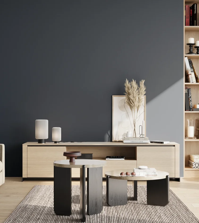 P10_SNIEZKA_salon_02_poludnie_GREY_S7020-R90B