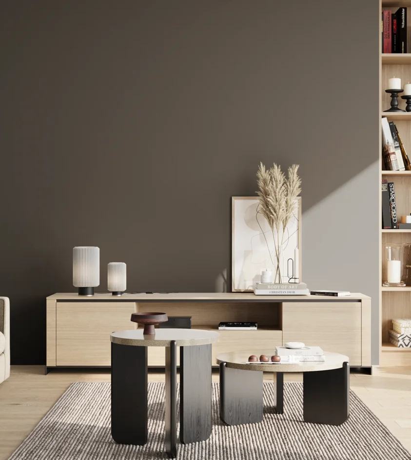 P10_SNIEZKA_salon_02_poludnie_GREY_S8000-N