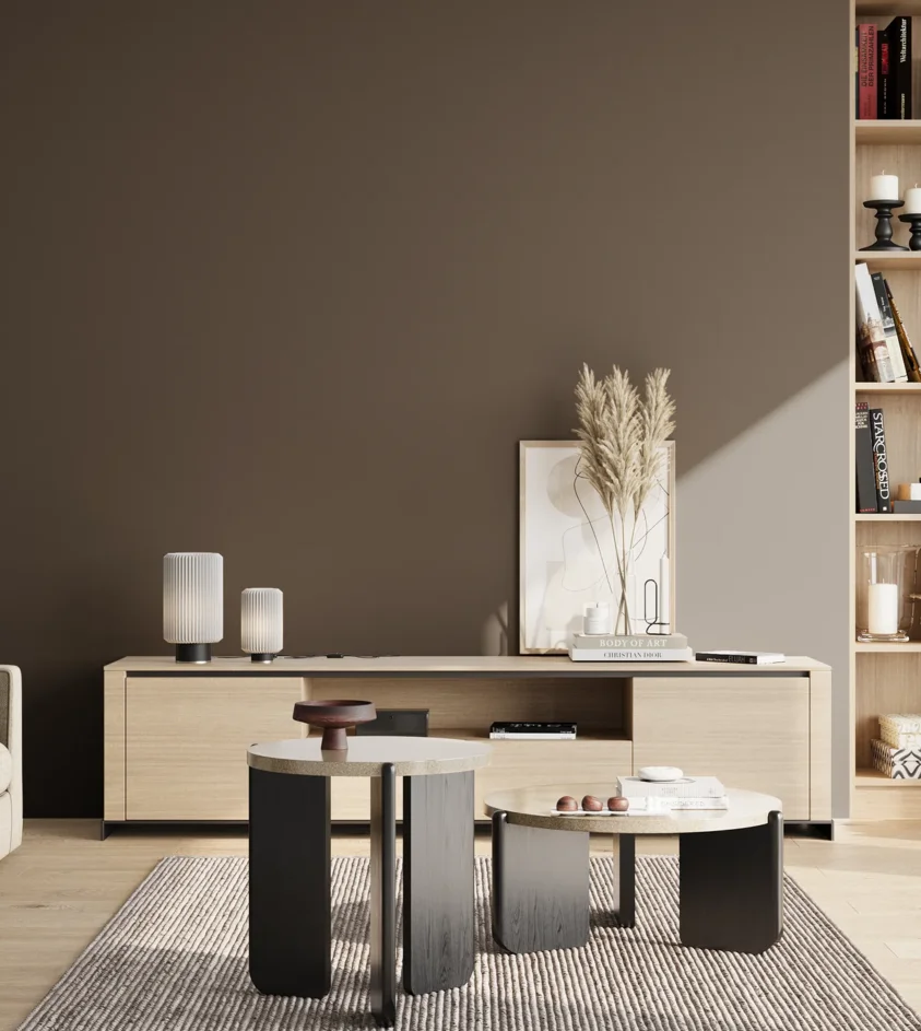 P10_SNIEZKA_salon_02_poludnie_GREY_S8005-Y50R