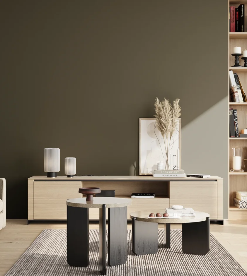 P10_SNIEZKA_salon_02_poludnie_GREY_S8010-G70Y
