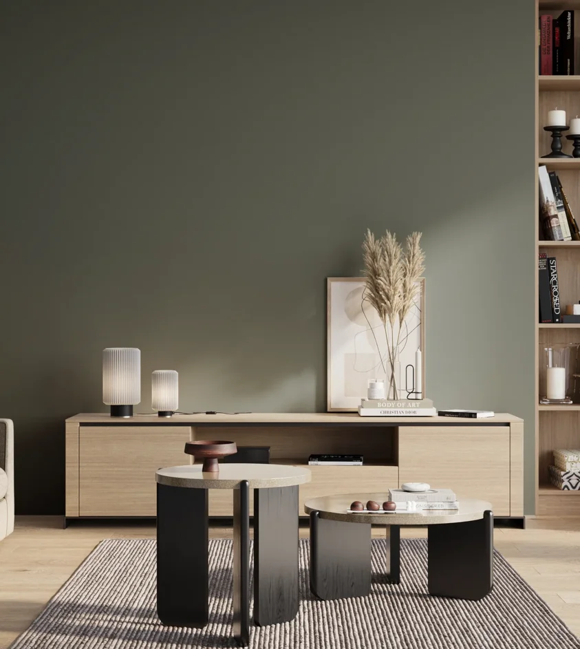 P10_SNIEZKA_salon_01_poranek_GREY_S6005-G