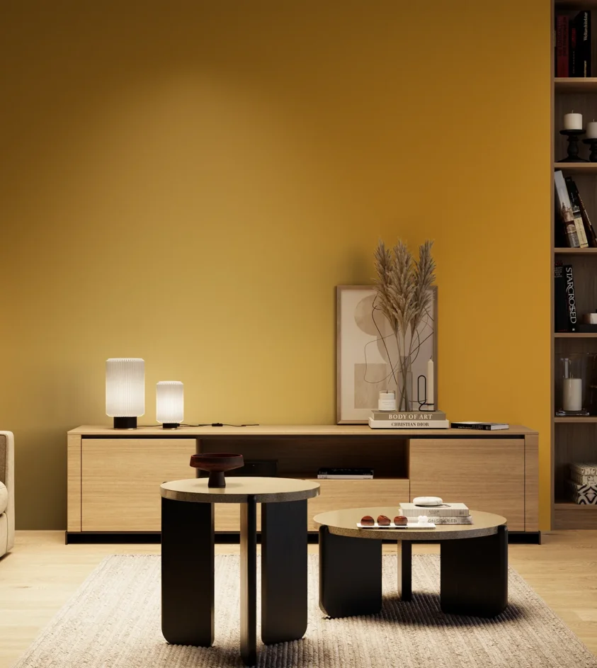 P10_SNIEZKA_salon_04_cieple_GREY_RAL1005