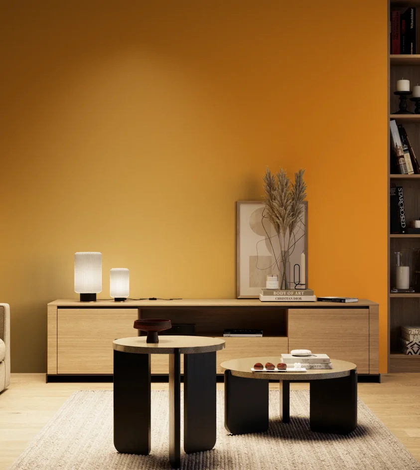 P10_SNIEZKA_salon_04_cieple_GREY_RAL1007