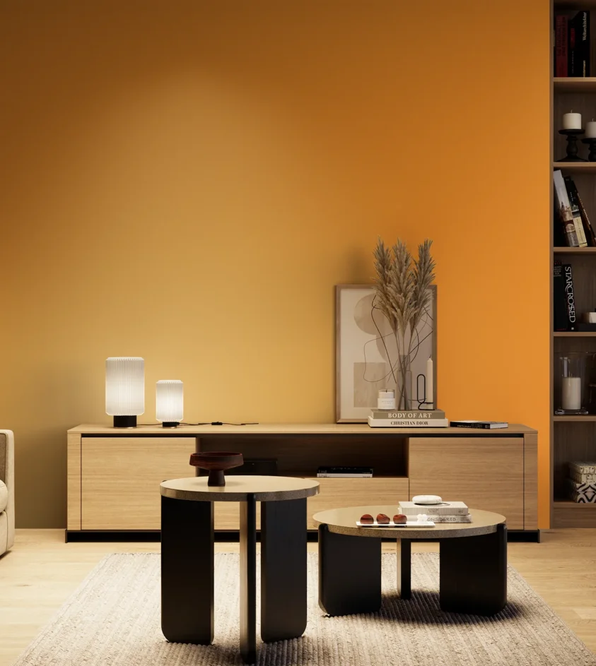 P10_SNIEZKA_salon_04_cieple_GREY_RAL1033