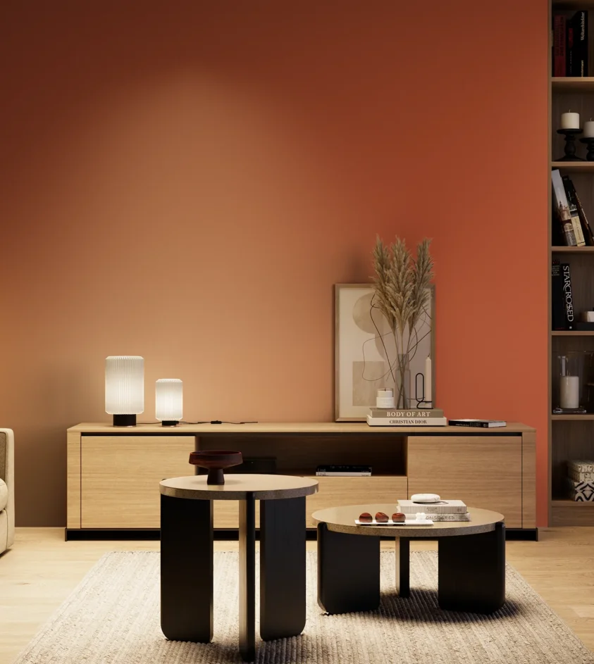 P10_SNIEZKA_salon_04_cieple_GREY_RAL2001