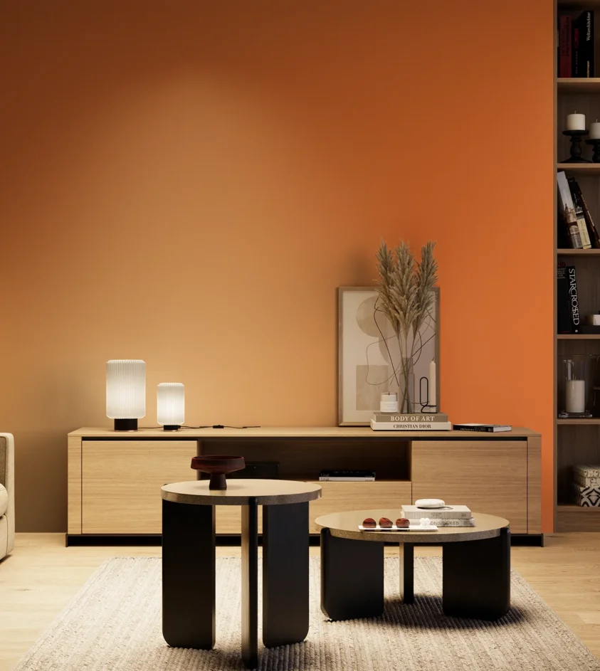 P10_SNIEZKA_salon_04_cieple_GREY_RAL2011