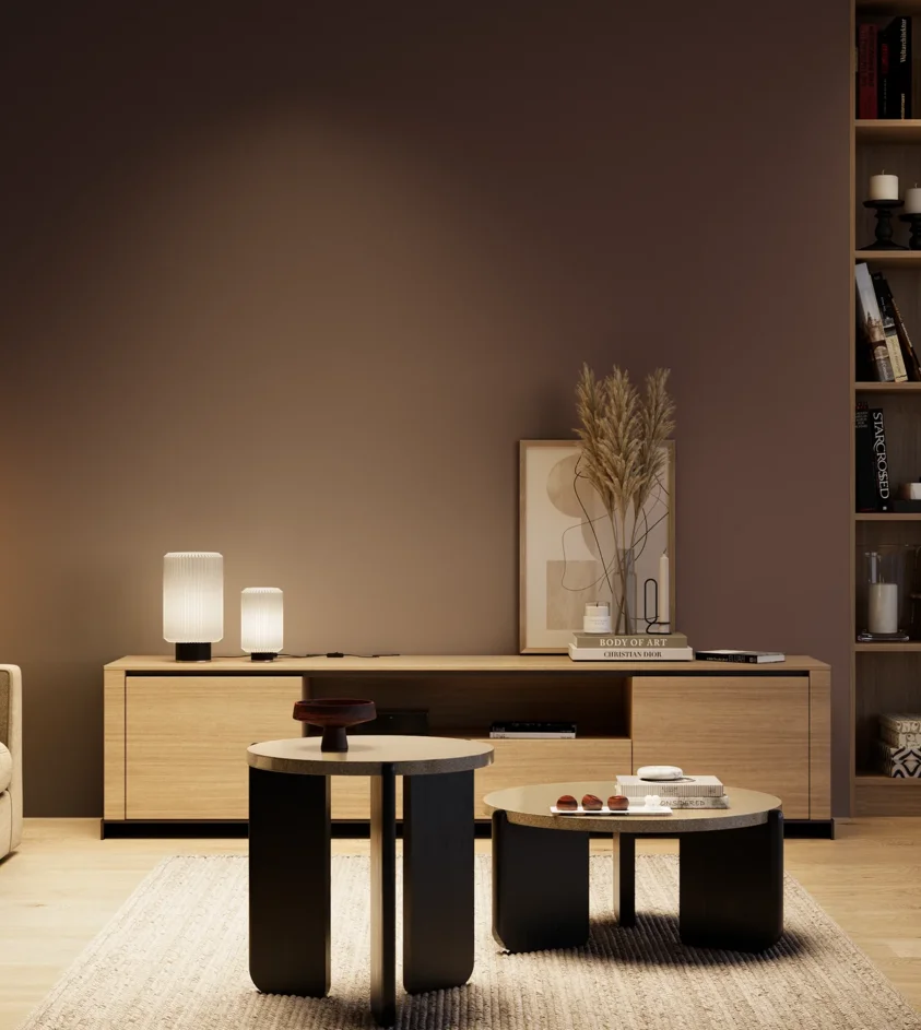P10_SNIEZKA_salon_04_cieple_GREY_RAL3007