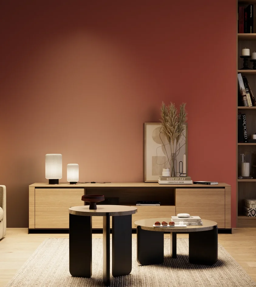 P10_SNIEZKA_salon_04_cieple_GREY_RAL3013