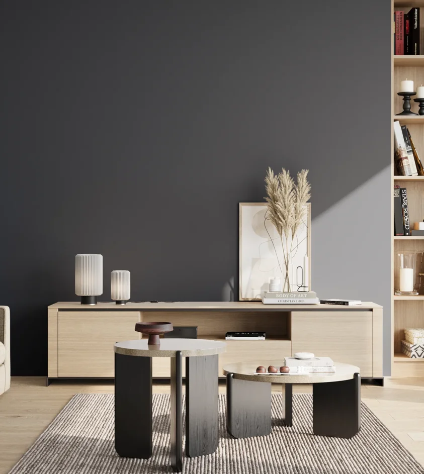 P10_SNIEZKA_salon_02_poludnie_GREY_RAL5011