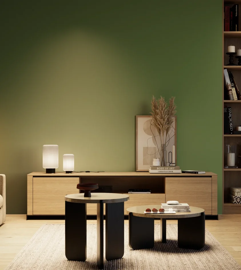 P10_SNIEZKA_salon_04_cieple_GREY_RAL6010