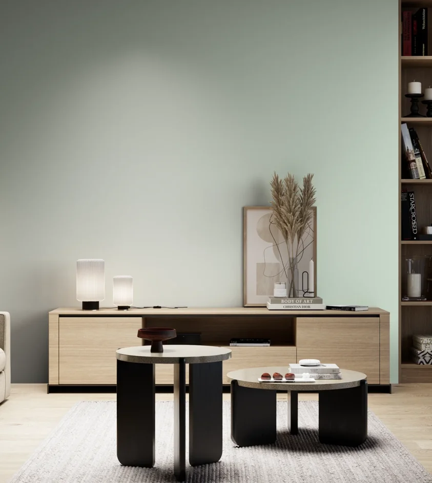 P10_SNIEZKA_salon_05_zimne_GREY_S0510-G