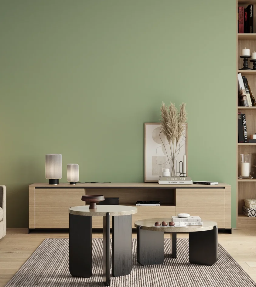 P10_SNIEZKA_salon_00_neutral_GREY_RAL6019