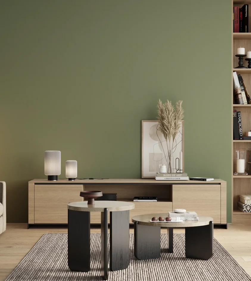 P10_SNIEZKA_salon_00_neutral_GREY_RAL6021