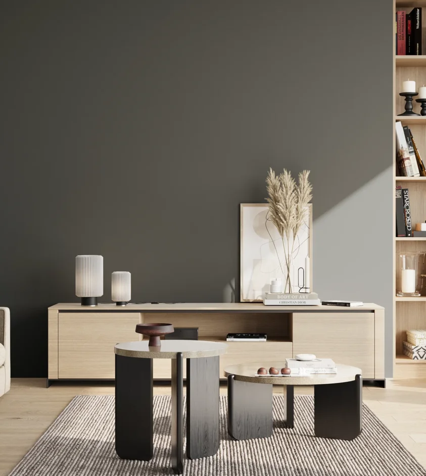 P10_SNIEZKA_salon_02_poludnie_GREY_RAL7026