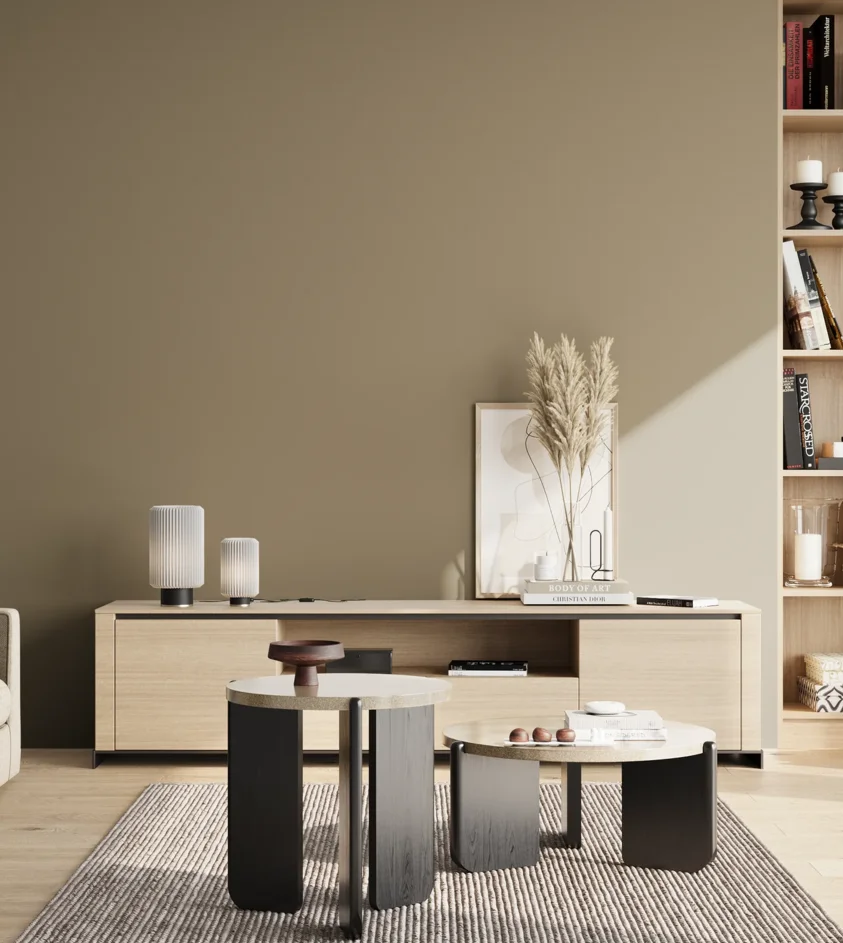 P10_SNIEZKA_salon_02_poludnie_GREY_RAL7034