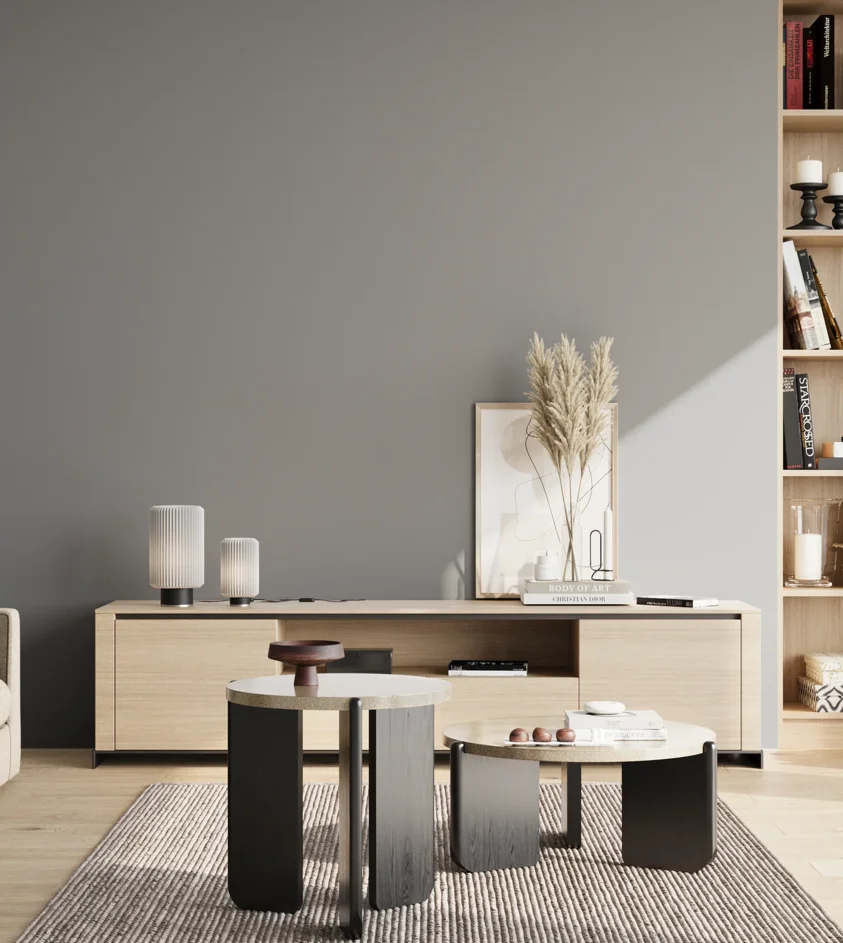 P10_SNIEZKA_salon_02_poludnie_GREY_RAL7045