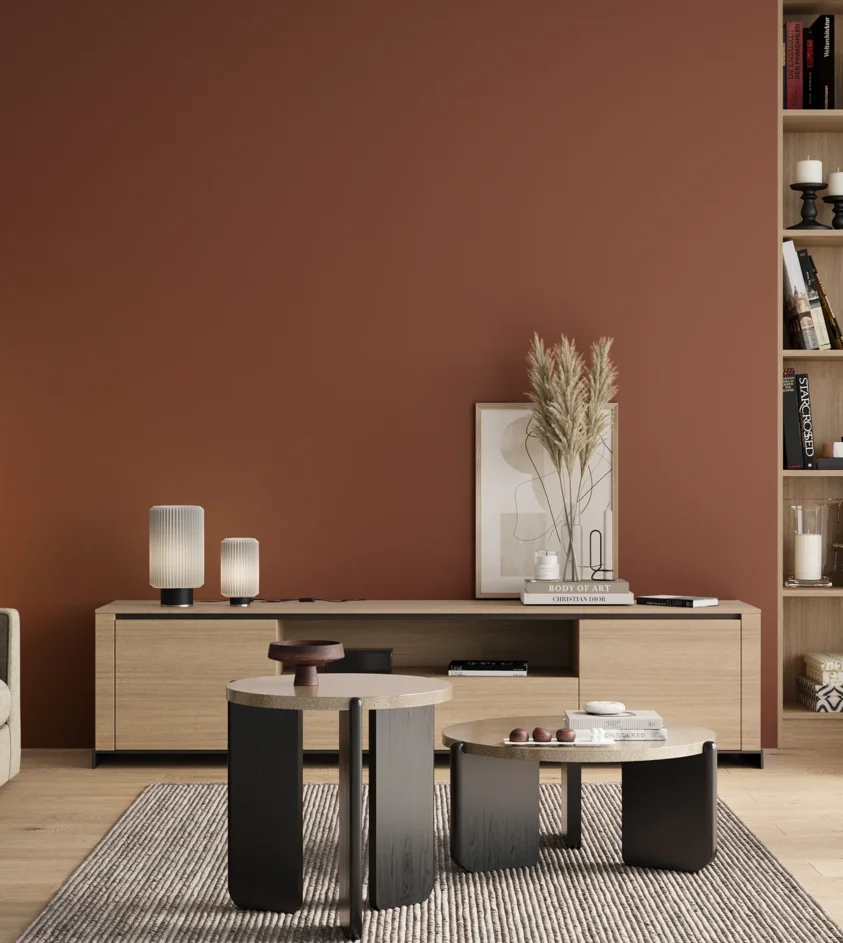 P10_SNIEZKA_salon_00_neutral_GREY_RAL8004