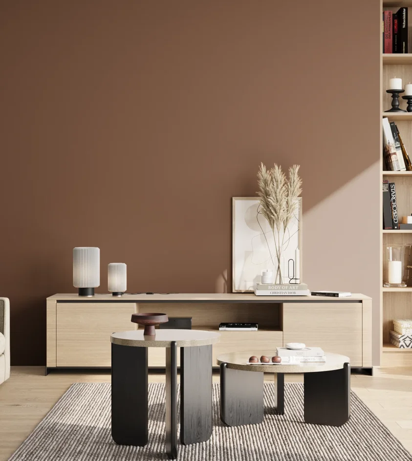 P10_SNIEZKA_salon_02_poludnie_GREY_RAL8024