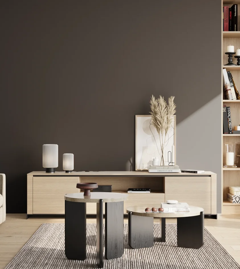P10_SNIEZKA_salon_02_poludnie_GREY_RAL9004