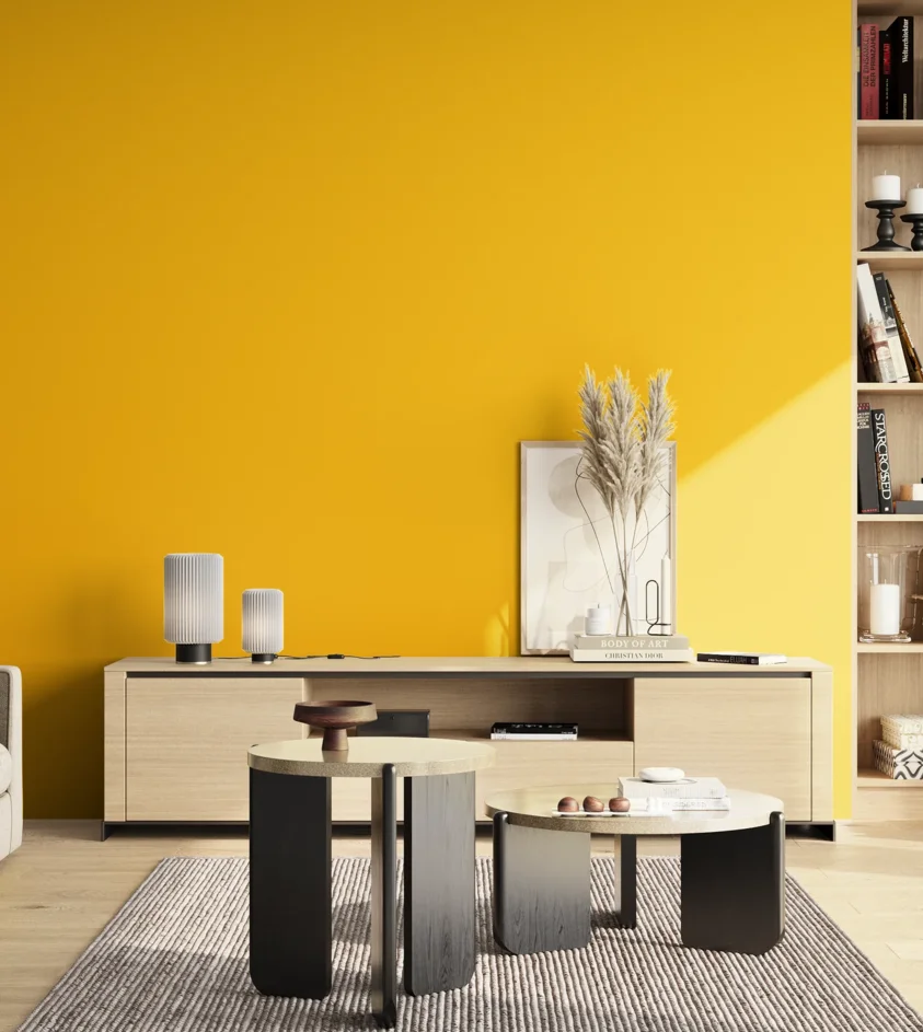 P10_SNIEZKA_salon_02_poludnie_GREY_S0580-Y10R