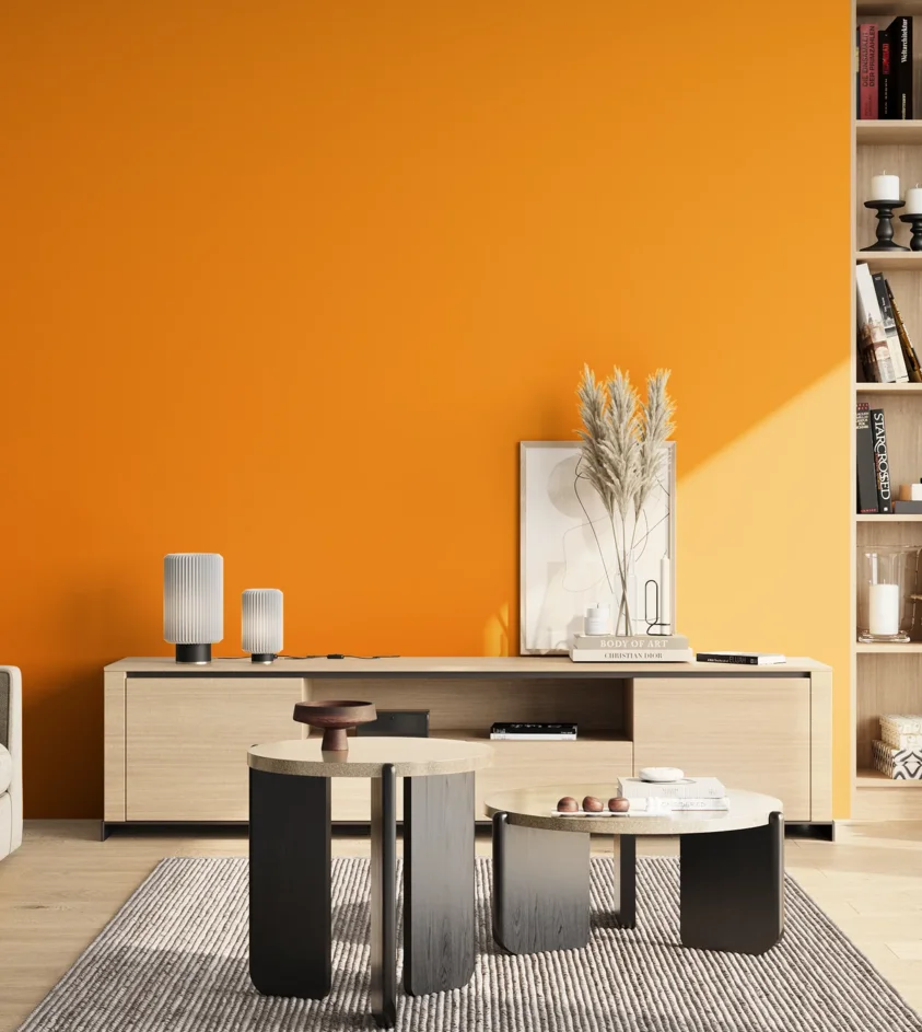 P10_SNIEZKA_salon_02_poludnie_GREY_S0585-Y30R
