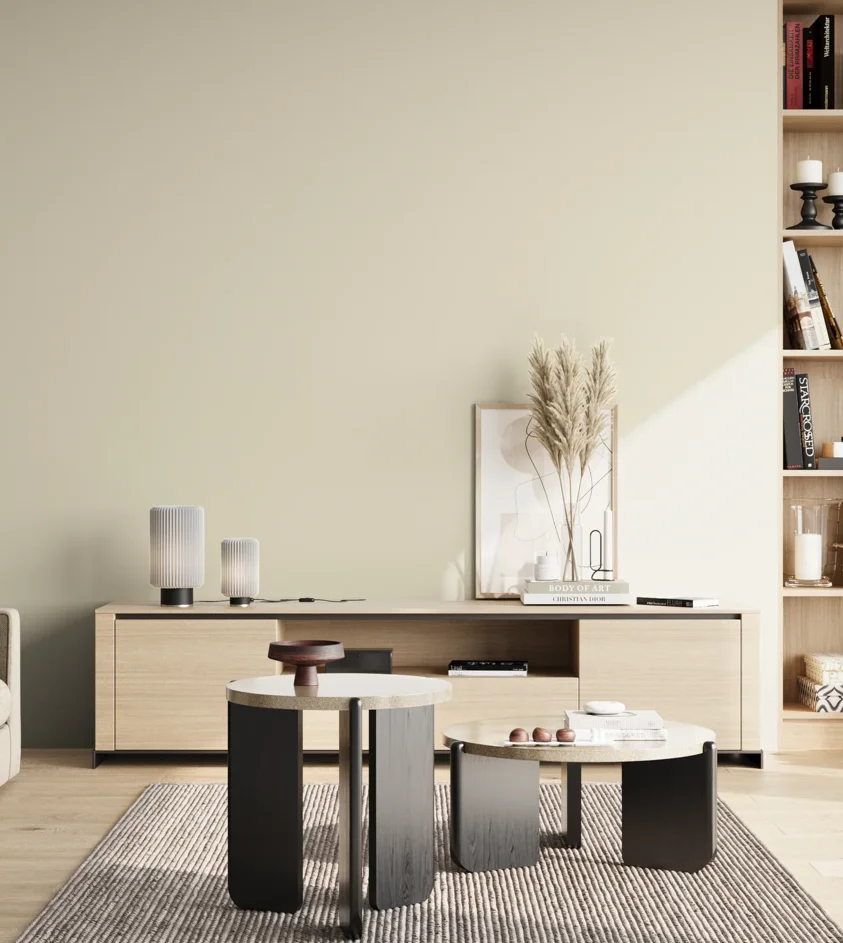 P10_SNIEZKA_salon_02_poludnie_GREY_S0804-Y10R