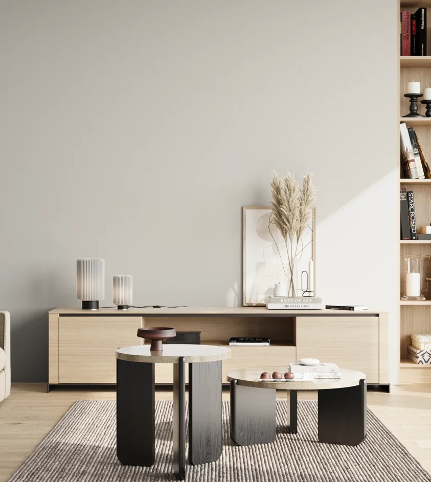 P10_SNIEZKA_salon_02_poludnie_GREY_S1000-N