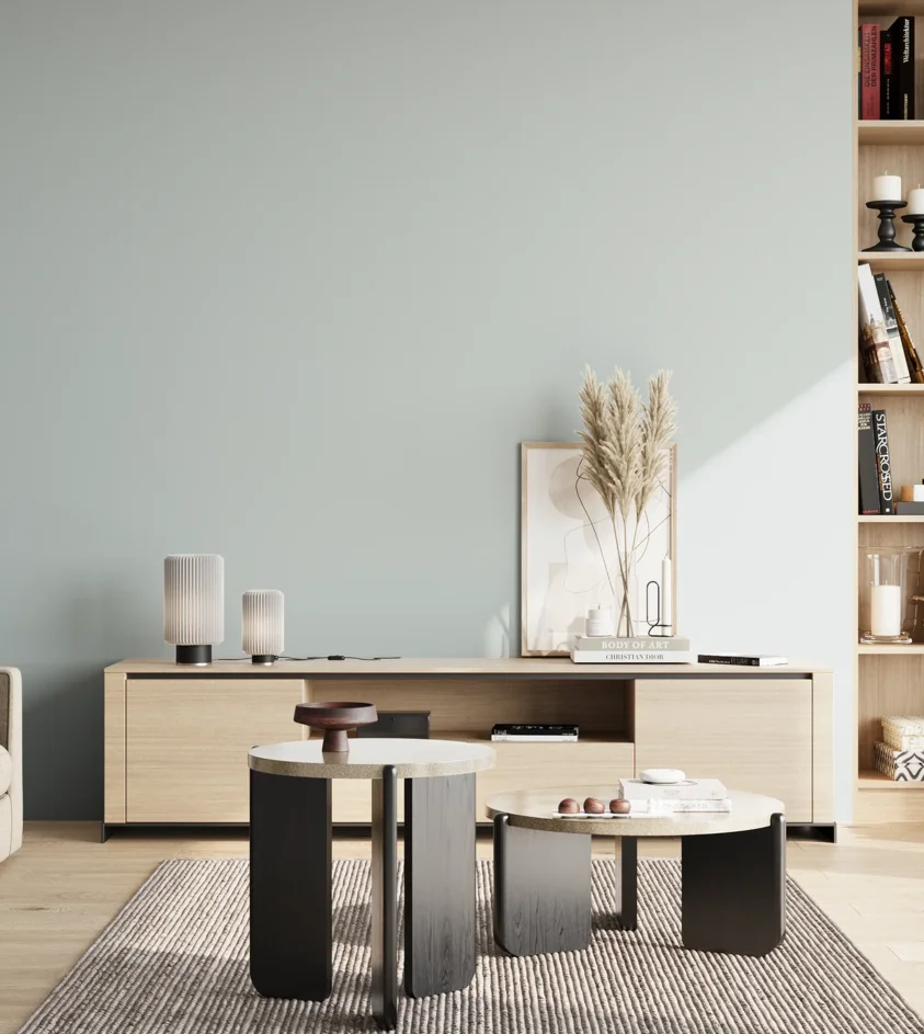 P10_SNIEZKA_salon_02_poludnie_GREY_S1005-B20G
