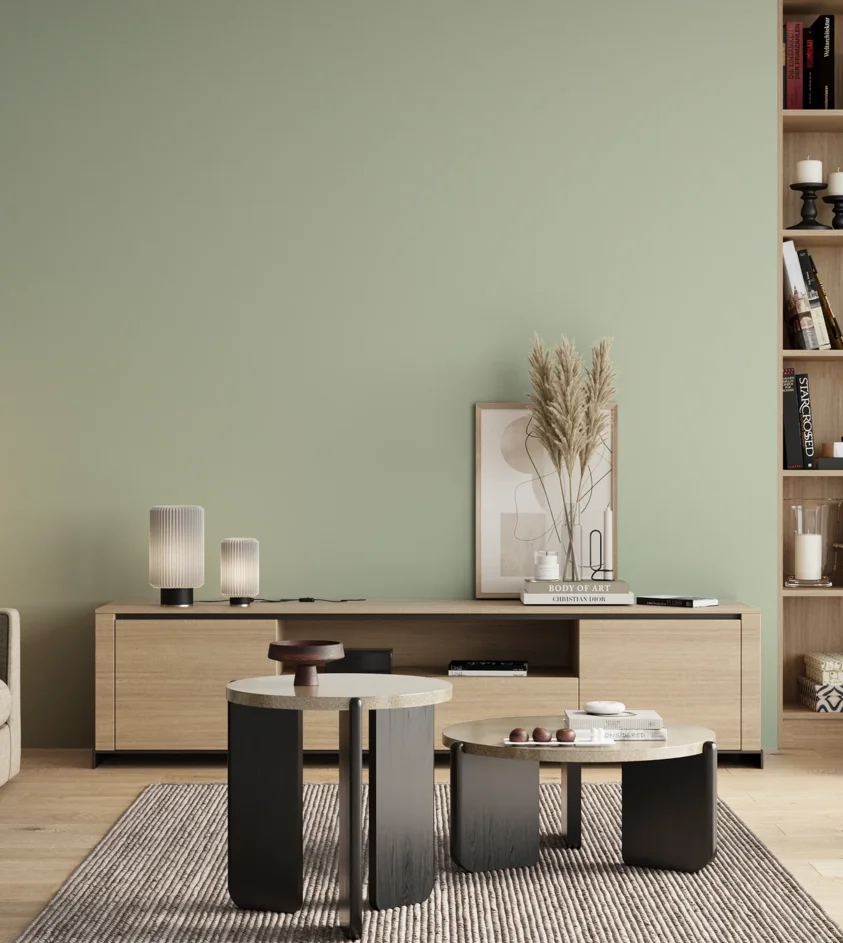 P10_SNIEZKA_salon_00_neutral_GREY_S1010-G20Y