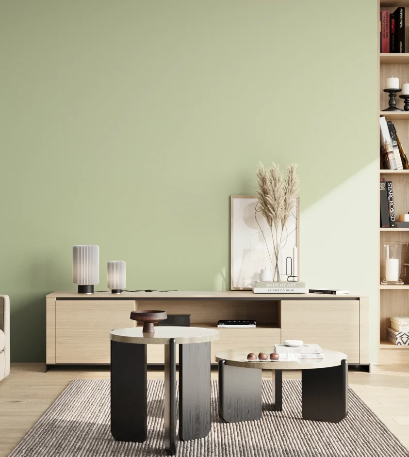 P10_SNIEZKA_salon_02_poludnie_GREY_S1015-G40Y