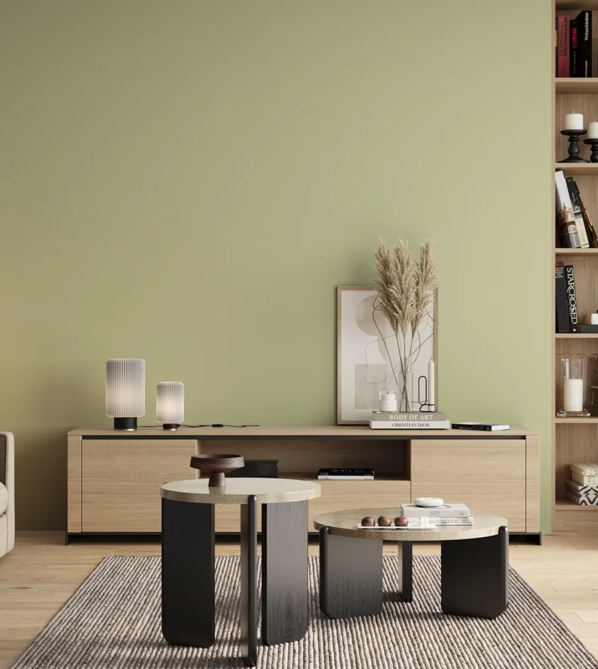 P10_SNIEZKA_salon_00_neutral_GREY_S1015-G60Y