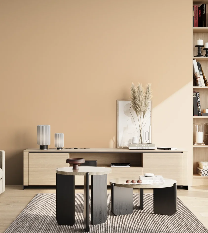 P10_SNIEZKA_salon_02_poludnie_GREY_S1015-Y40R