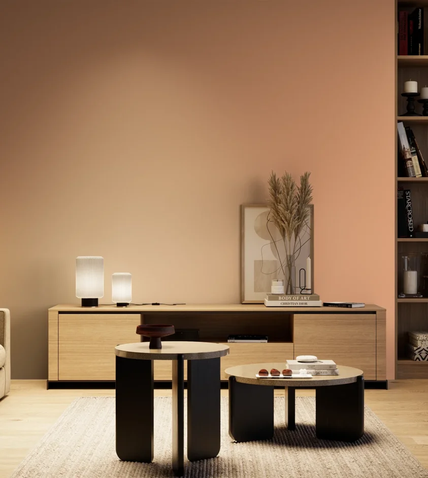 P10_SNIEZKA_salon_04_cieple_GREY_S1030-Y60R