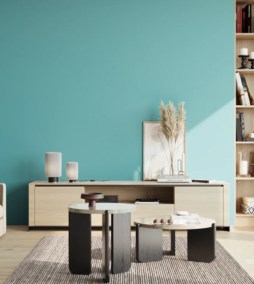 P10_SNIEZKA_salon_02_poludnie_GREY_S1040-B30G