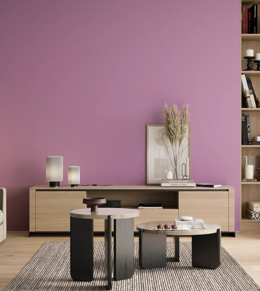 P10_SNIEZKA_salon_00_neutral_GREY_S1040-R40B