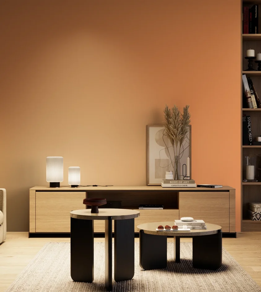 P10_SNIEZKA_salon_04_cieple_GREY_S1050-Y50R