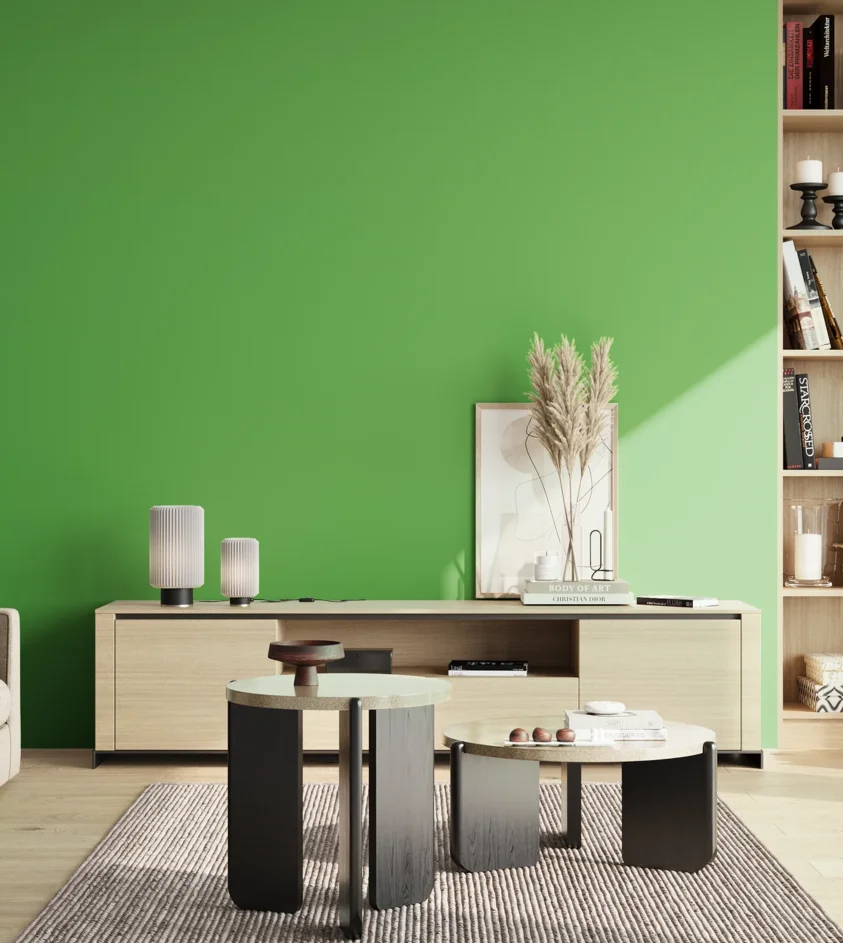 P10_SNIEZKA_salon_02_poludnie_GREY_S1070-G20Y