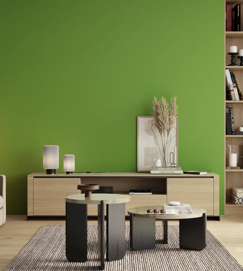 P10_SNIEZKA_salon_00_neutral_GREY_S1070-G30Y