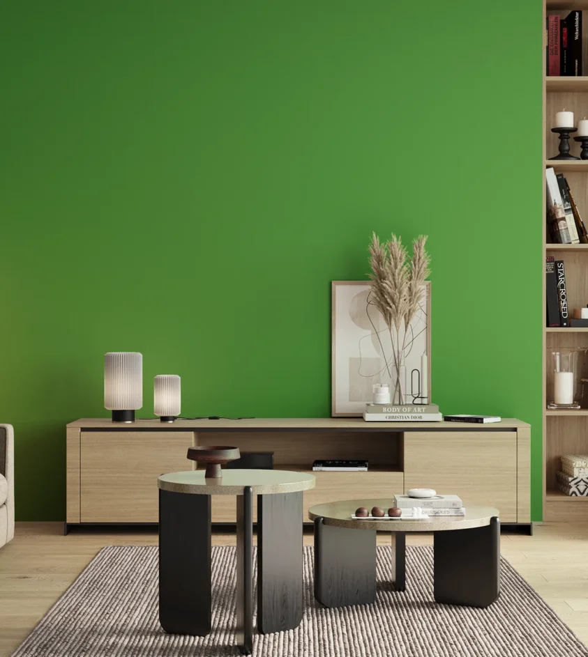 P10_SNIEZKA_salon_00_neutral_GREY_S1075-G20Y