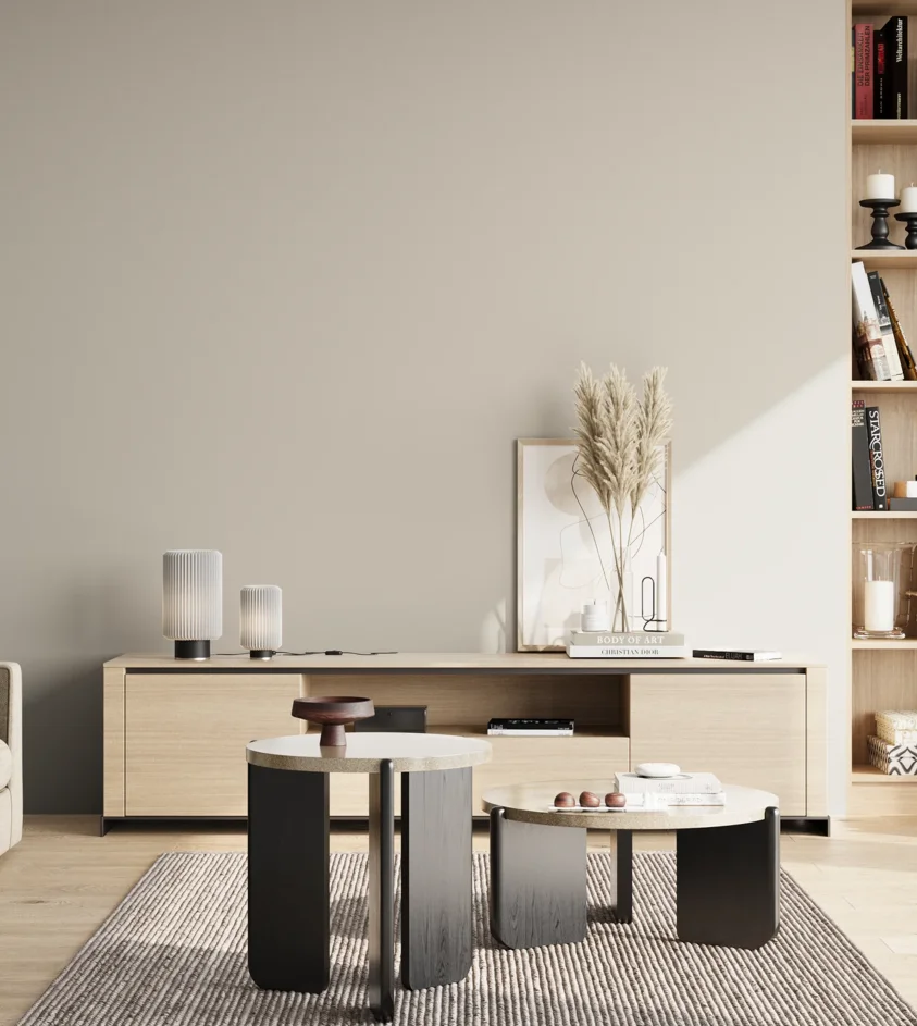 P10_SNIEZKA_salon_02_poludnie_GREY_S1502-Y50R