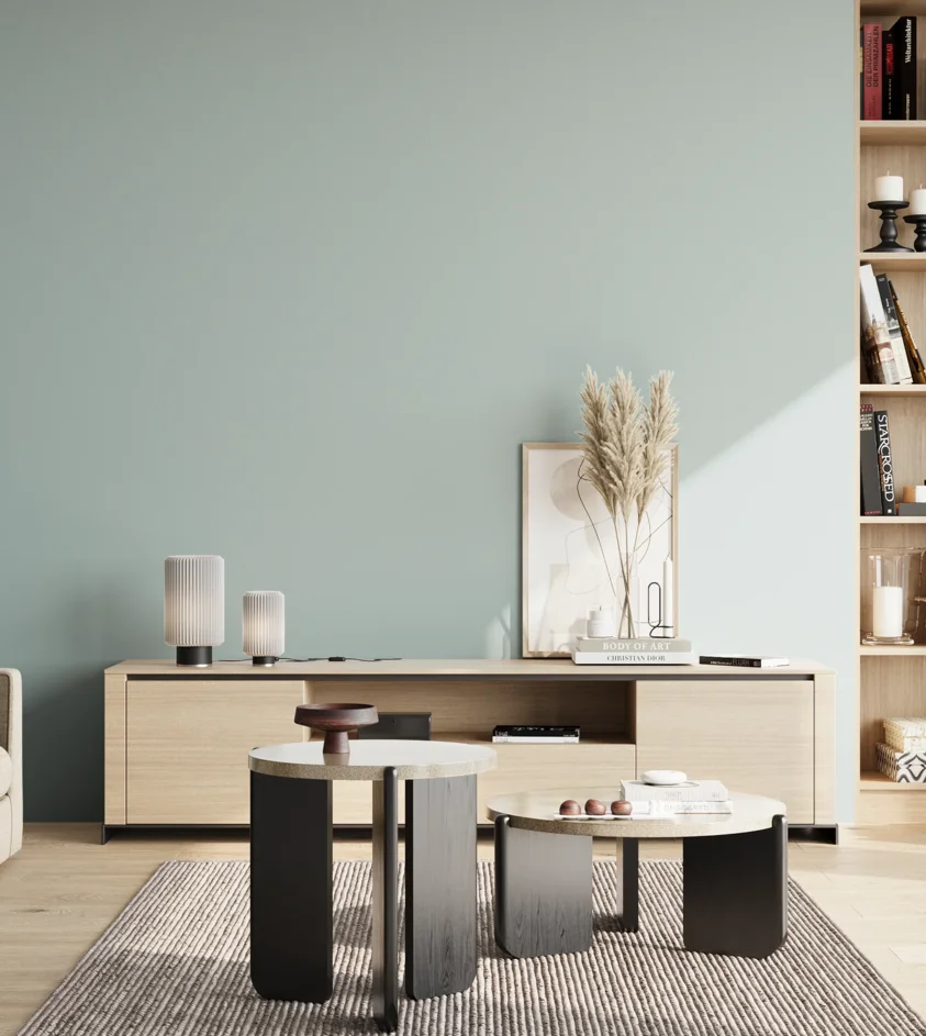 P10_SNIEZKA_salon_02_poludnie_GREY_S1510-B50G