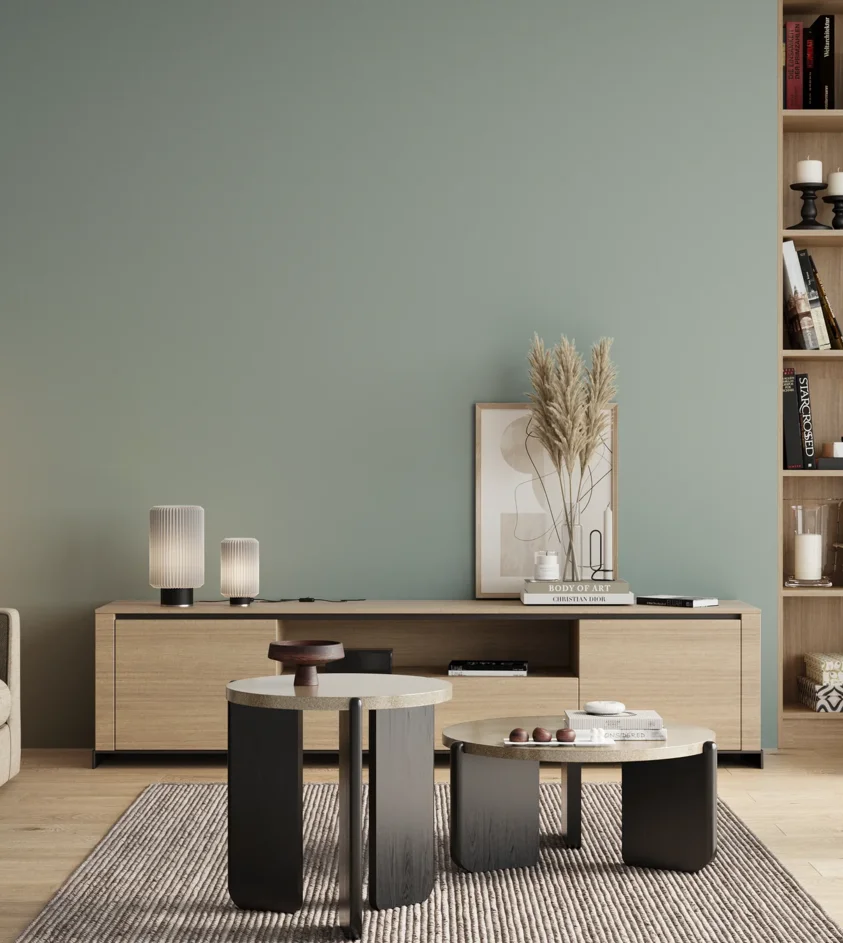 P10_SNIEZKA_salon_00_neutral_GREY_S2010-B70G
