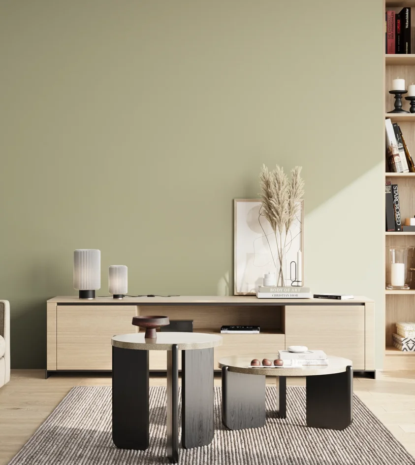 P10_SNIEZKA_salon_02_poludnie_GREY_S2010-G70Y