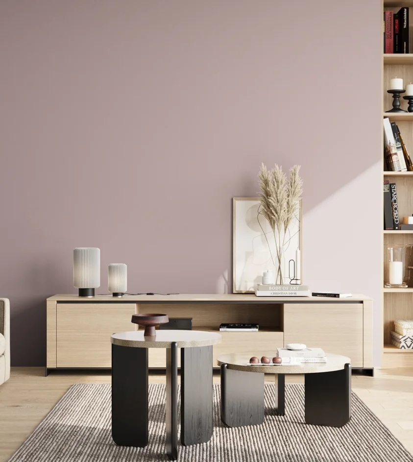 P10_SNIEZKA_salon_02_poludnie_GREY_S2010-R20B