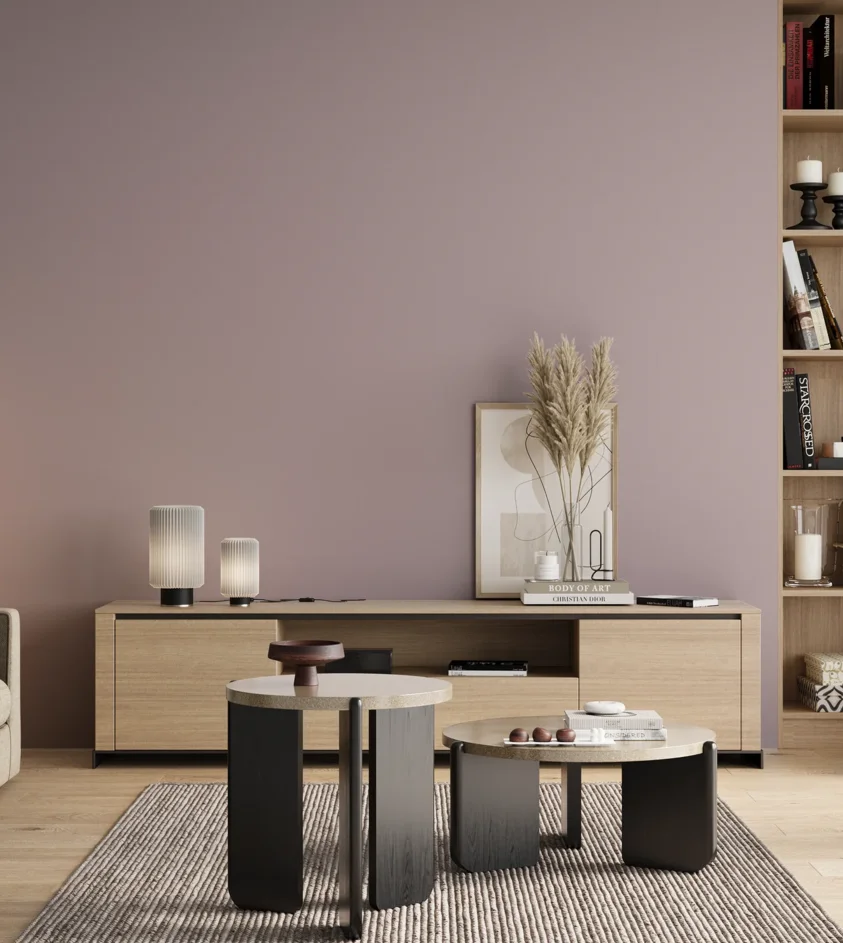 P10_SNIEZKA_salon_00_neutral_GREY_S2010-R30B