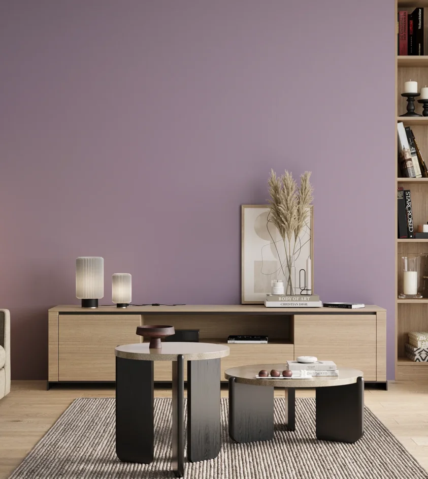 P10_SNIEZKA_salon_00_neutral_GREY_S2020-R50B
