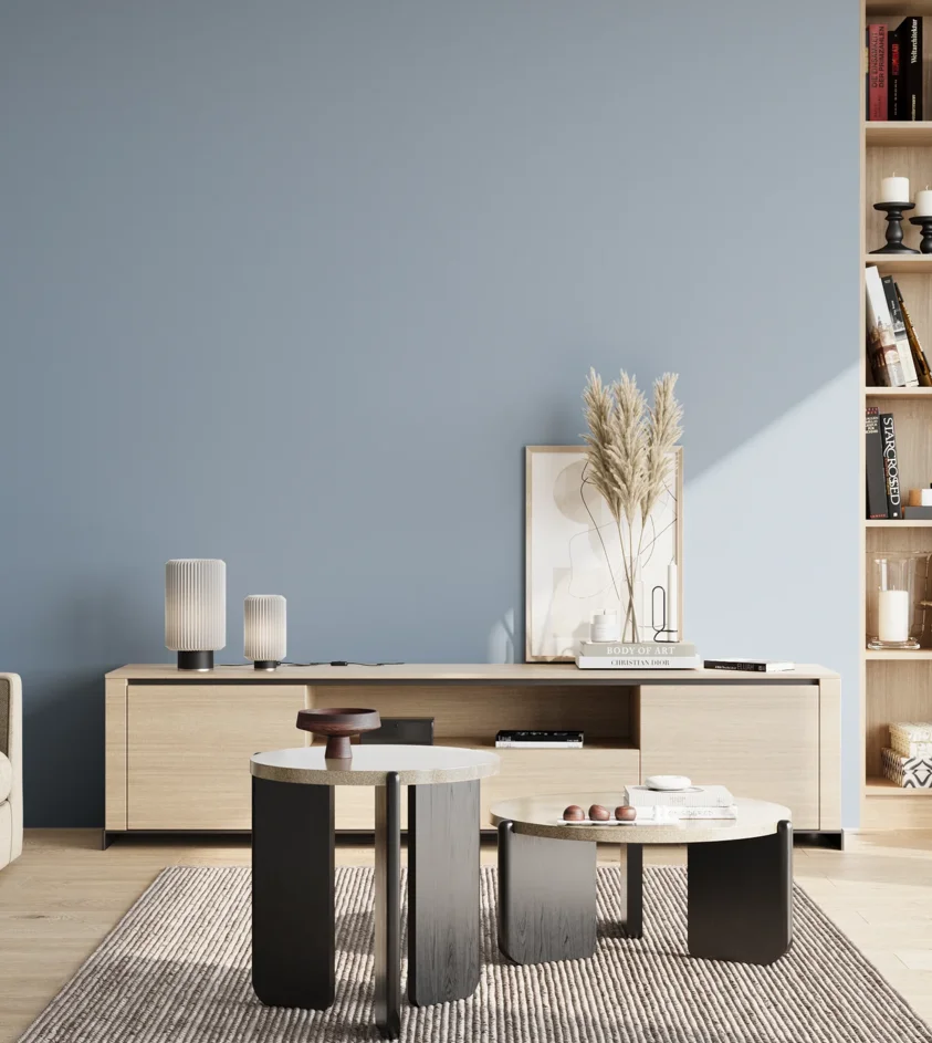P10_SNIEZKA_salon_02_poludnie_GREY_S2020-R90B