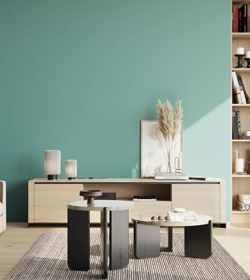 P10_SNIEZKA_salon_02_poludnie_GREY_S2030-B50G
