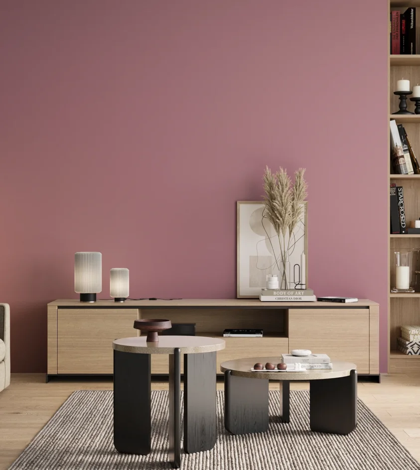P10_SNIEZKA_salon_00_neutral_GREY_S2030-R20B
