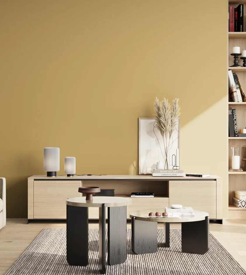 P10_SNIEZKA_salon_02_poludnie_GREY_S2030-Y10R